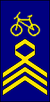 Oberstabradsmann